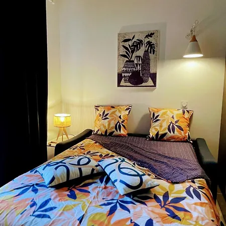 Beau Neuf Classe 3 Etoiles Relax Bourget- Centre Aix Les Bains Parc Floral Des Thermes * Экс-ле-Бен