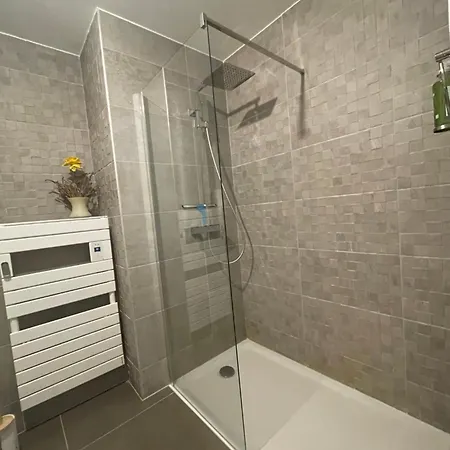 Beau Neuf Classe 3 Etoiles Relax Bourget- Centre Aix Les Bains Parc Floral Des Thermes Апартаменты Экс-ле-Бен