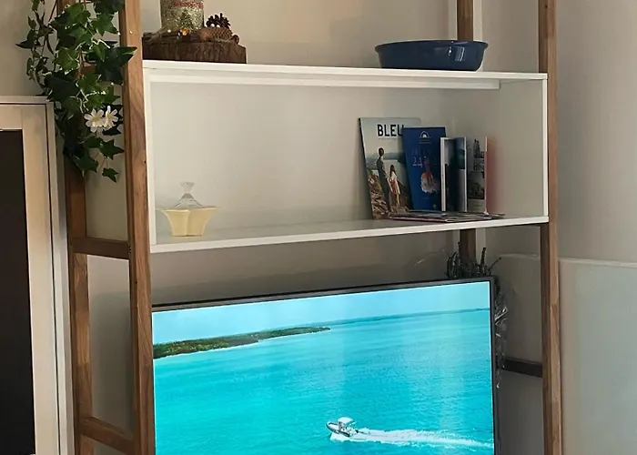 Beau Neuf Classé 3 Etoiles Relax Bourget- Centre Aix Les Bains Parc Floral Des Thermes