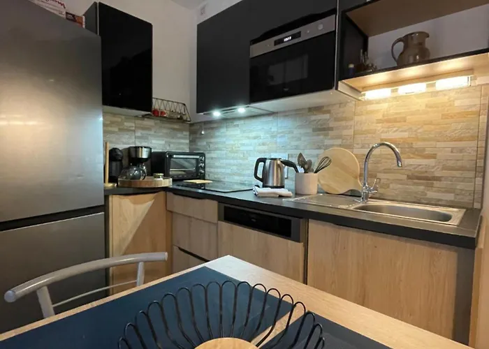 Beau Neuf Classé 3 Etoiles Relax Bourget- Centre Aix Les Bains Parc Floral Des Thermes Aix-les-Bains