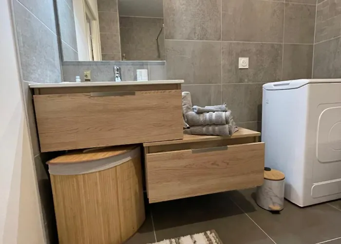 Beau Neuf Classé 3 Etoiles Relax Bourget- Centre Aix Les Bains Parc Floral Des Thermes Apartamento